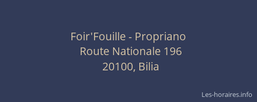 Foir'Fouille - Propriano