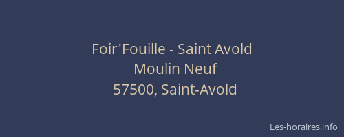 Foir'Fouille - Saint Avold