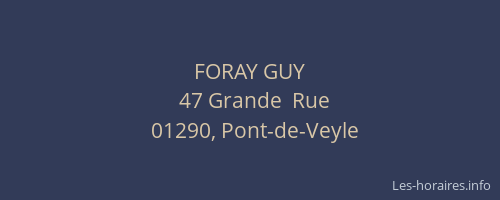 FORAY GUY