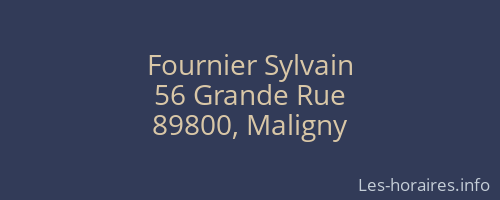 Fournier Sylvain