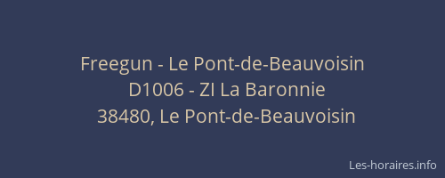 Freegun - Le Pont-de-Beauvoisin