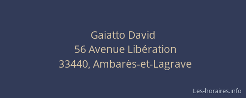 Gaiatto David