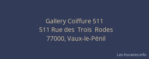 Gallery Coiffure 511