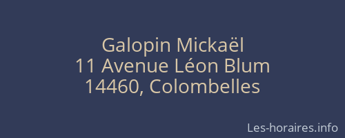 Galopin Mickaël