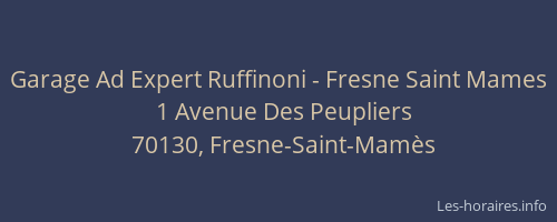 Garage Ad Expert Ruffinoni - Fresne Saint Mames