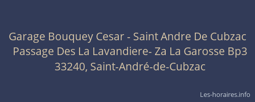 Garage Bouquey Cesar - Saint Andre De Cubzac