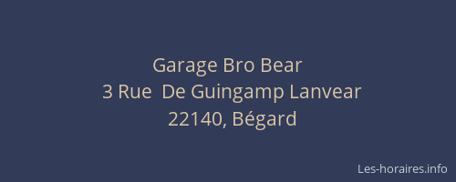 Garage Bro Bear