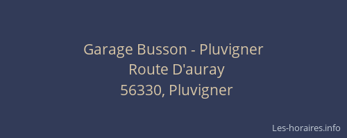 Garage Busson - Pluvigner