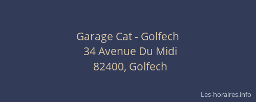 Garage Cat - Golfech