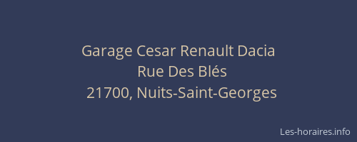 Garage Cesar Renault Dacia