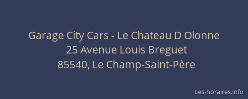 Garage City Cars - Le Chateau D Olonne