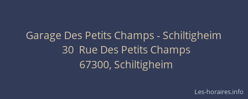Garage Des Petits Champs - Schiltigheim