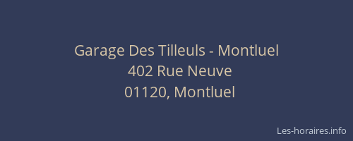 Garage Des Tilleuls - Montluel