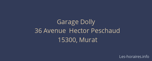 Garage Dolly