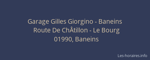 Garage Gilles Giorgino - Baneins