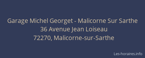 Garage Michel Georget - Malicorne Sur Sarthe