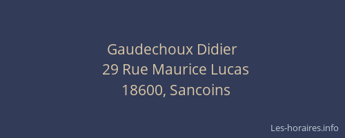 Gaudechoux Didier