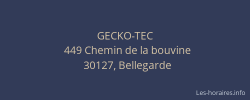 GECKO-TEC