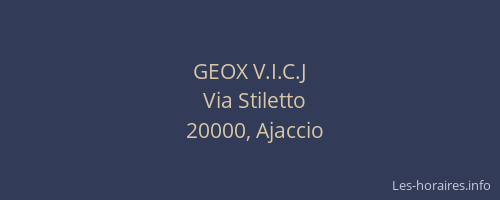 GEOX V.I.C.J
