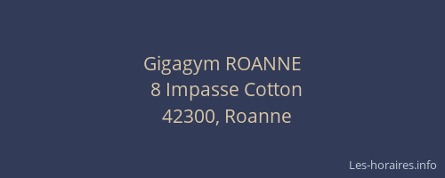 Gigagym ROANNE