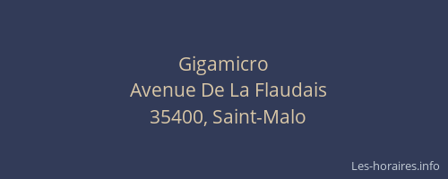 Gigamicro