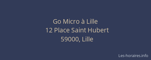 Go Micro à Lille