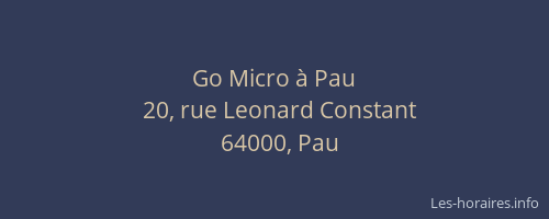 Go Micro à Pau