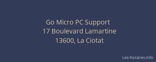Go Micro PC Support