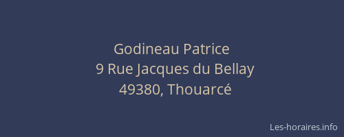 Godineau Patrice
