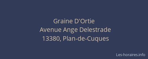 Graine D'Ortie