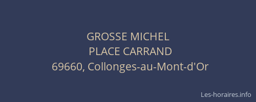 GROSSE MICHEL