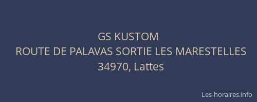 GS KUSTOM
