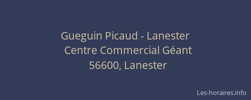 Gueguin Picaud - Lanester
