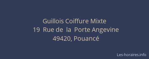 Guillois Coiffure Mixte