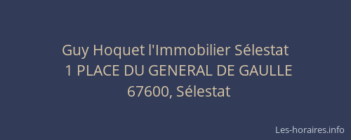 Guy Hoquet l'Immobilier Sélestat