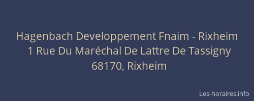 Hagenbach Developpement Fnaim - Rixheim