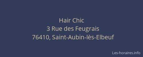 Hair Chic