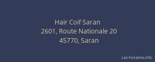 Hair Coif Saran
