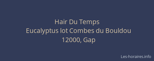 Hair Du Temps