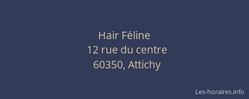 Hair Féline