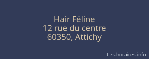 Hair Féline
