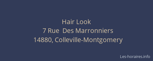 Hair Look