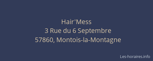 Hair'Mess