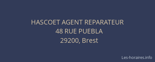 HASCOET AGENT REPARATEUR
