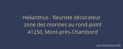 Helianthus - fleuriste décorateur