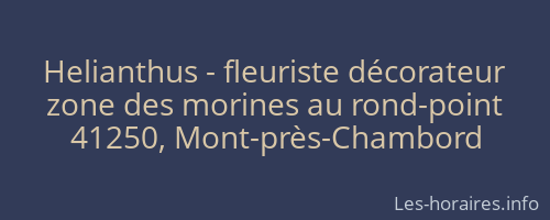 Helianthus - fleuriste décorateur