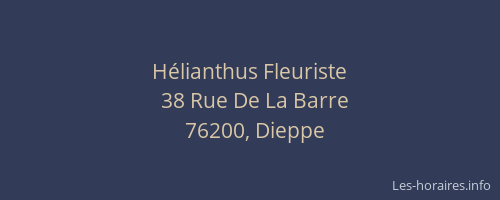 Hélianthus Fleuriste