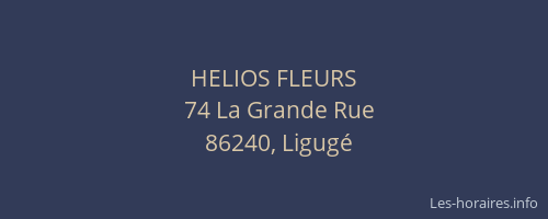 HELIOS FLEURS