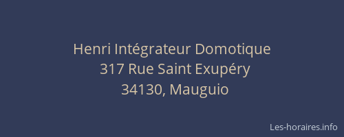 Henri Intégrateur Domotique