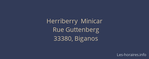 Herriberry  Minicar